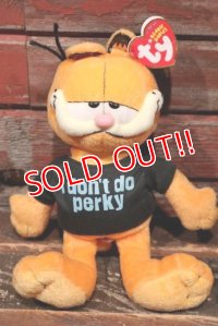 ct-211201-03 Garfield / Ty Beanie Babies 2007 Plush Doll 