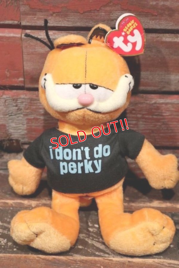 画像1: ct-211201-03 Garfield / Ty Beanie Babies 2007 Plush Doll 