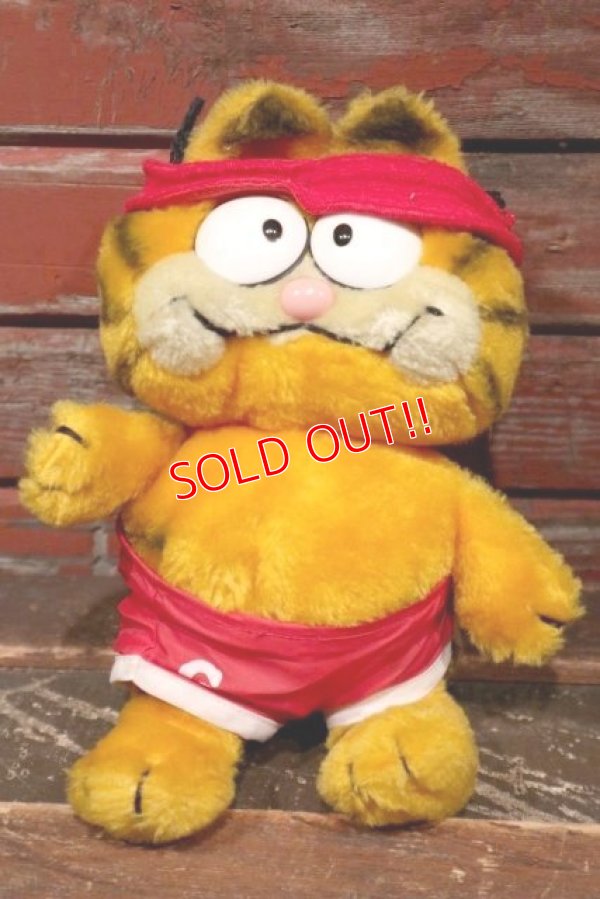 画像1: ct-2211201-22 Garfield / DAKIN 1980's Plush Doll