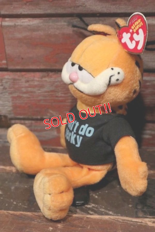 画像3: ct-211201-03 Garfield / Ty Beanie Babies 2007 Plush Doll 