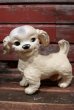 画像1: ct-211210-21 Unknown / Vintage Dog Rubber Doll (1)