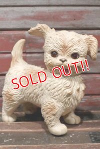 ct-211210-23 EDWARD MOBLEY / 1960's Sleep Eyes Dog Rubber Doll