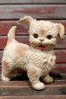 画像1: ct-211210-23 EDWARD MOBLEY / 1960's Sleep Eyes Dog Rubber Doll (1)