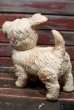 画像6: ct-211210-23 EDWARD MOBLEY / 1960's Sleep Eyes Dog Rubber Doll