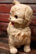 画像4: ct-211210-23 EDWARD MOBLEY / 1960's Sleep Eyes Dog Rubber Doll