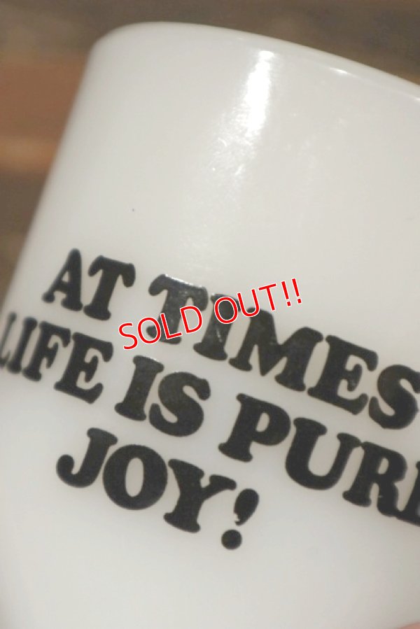 画像8: ct-211210-57 Snoopy / Fire King 1960's-1970's 9oz Mug "JOY"