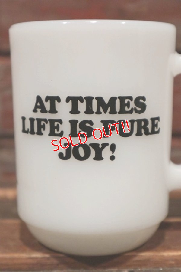 画像3: ct-211210-57 Snoopy / Fire King 1960's-1970's 9oz Mug "JOY"