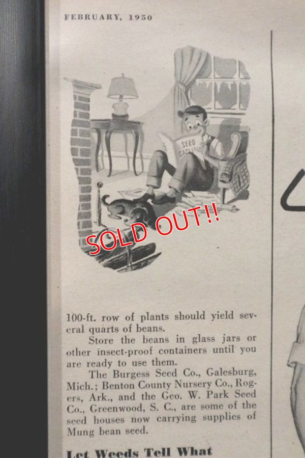 画像5: dp-220301-131 Lee / 1950 Advertisement