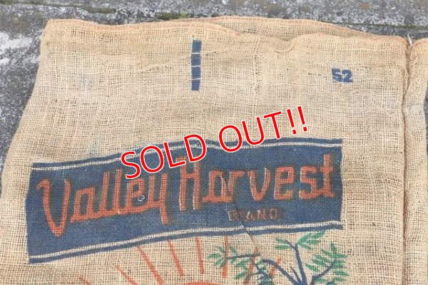 画像2: dp-220301-05 Valley Harvest Brand CALIFORNIA POTATOES / Vintage Burlap Bag