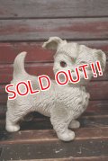 ct-220401-30 EDWARD MOBLEY / 1960's Puppy Dog Rubber Doll