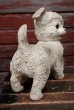 画像5: ct-220401-30 EDWARD MOBLEY / 1960's Puppy Dog Rubber Doll