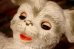 画像7: ct-220401-30 EDWARD MOBLEY / 1960's Puppy Dog Rubber Doll