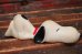 画像3: ct-220501-09 Snoopy / ConAgra 1980's Snoozing Snoopy Squeak Doll (3)