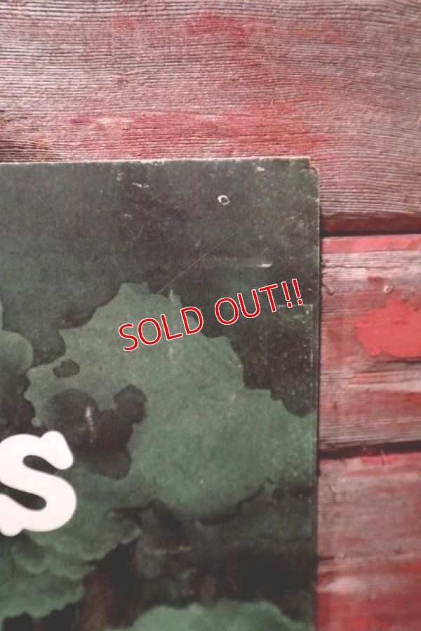 画像6: dp-220501-65 McDonald's / 1979 Translite "Shamrock Shakes"