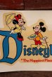 画像2: nt-220601-105 Disneyland / 1960's Decal (2)