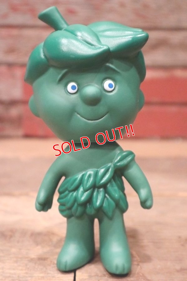 画像1: ct-220719-36 Little Sprout / 1990's Soft Vinyl Doll "CANADA LIMITED"