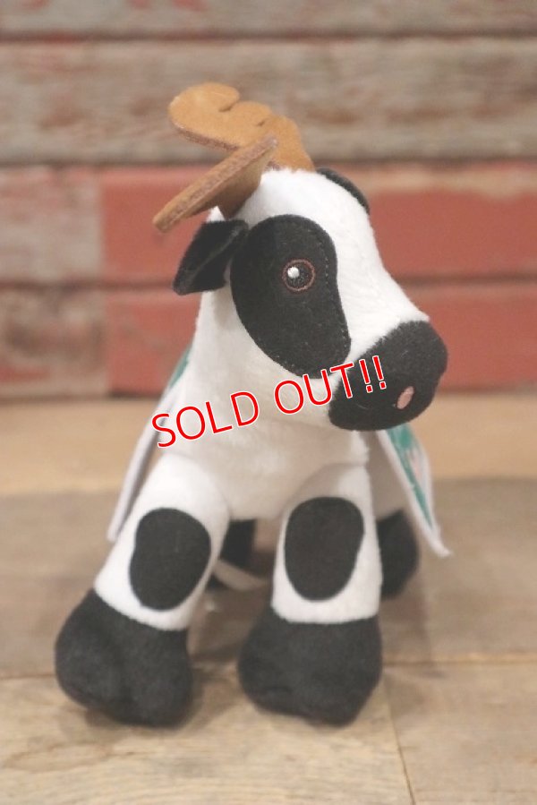 画像6: ct-220719-82 Chick-fil-A / 2015 Mascot Doll
