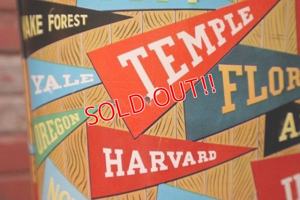 画像7: dp-220801-03 College Pennant / CHEINCO 1960's Trash Can