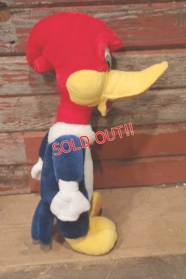 画像5: ct-220719-89 Woody Woodpecker / Toy Network 2000 Plush Doll