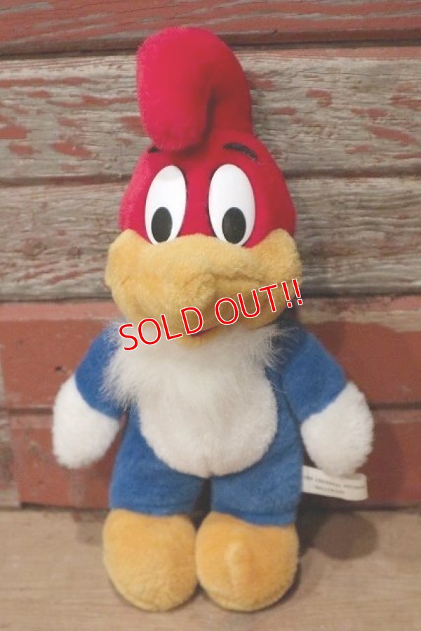 画像1: ct-220719-92 Woody Woodpecker / 1989 Plush Doll