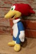 画像3: ct-220719-91 Woody Woodpecker / KELLYTOY 1990's Plush Doll (3)