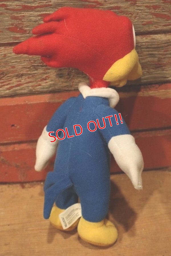 画像4: ct-220719-91 Woody Woodpecker / KELLYTOY 1990's Plush Doll