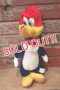 ct-220719-89 Woody Woodpecker / Toy Network 2000 Plush Doll