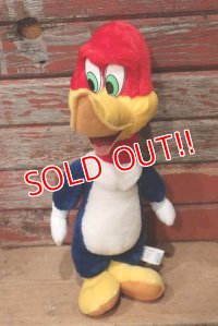 ct-220719-89 Woody Woodpecker / Toy Network 2000 Plush Doll