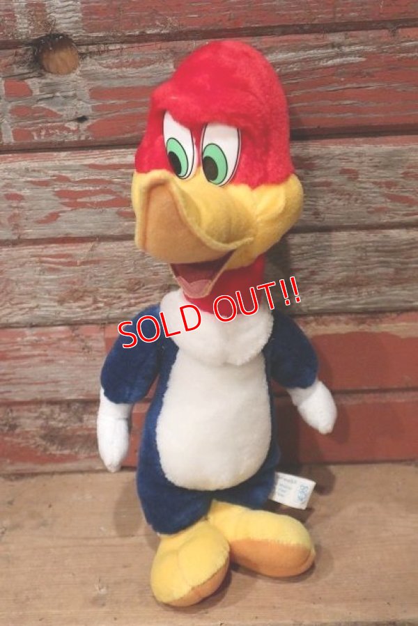 画像1: ct-220719-89 Woody Woodpecker / Toy Network 2000 Plush Doll