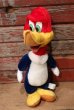 画像1: ct-220719-89 Woody Woodpecker / Toy Network 2000 Plush Doll (1)