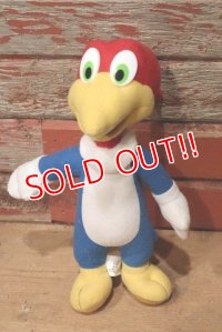 ct-220719-91 Woody Woodpecker / KELLYTOY 1990's Plush Doll