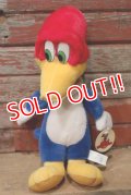 ct-220719-90 Woody Woodpecker / Toy Network 2000 Plush Doll