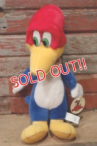 ct-220719-90 Woody Woodpecker / Toy Network 2000 Plush Doll