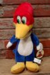 画像1: ct-220719-90 Woody Woodpecker / Toy Network 2000 Plush Doll (1)