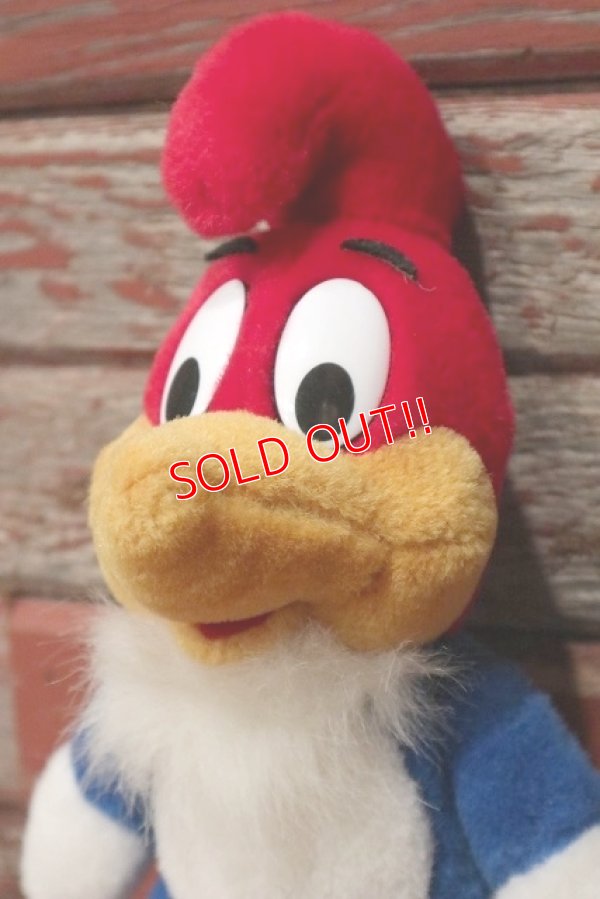 画像2: ct-220719-92 Woody Woodpecker / 1989 Plush Doll
