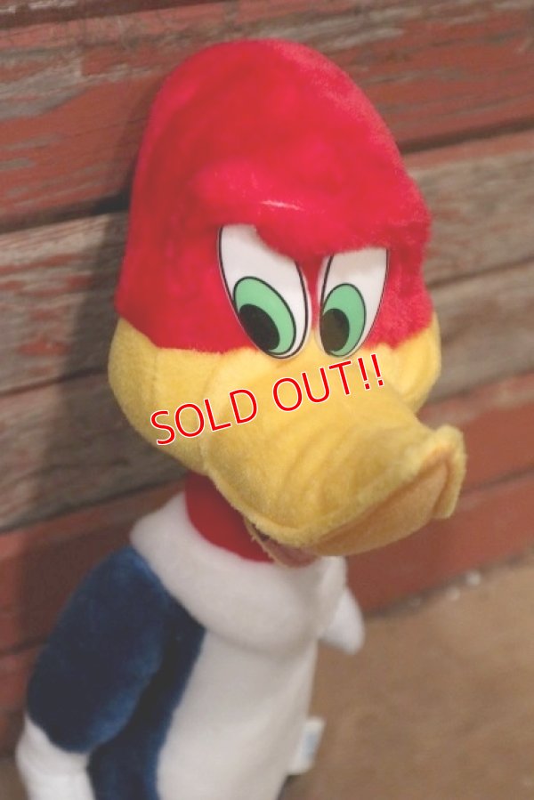 画像2: ct-220719-89 Woody Woodpecker / Toy Network 2000 Plush Doll