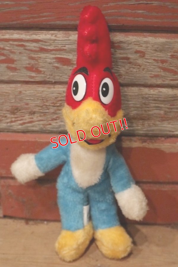 画像1: ct-220719-93 Woody Woodpecker / ACE NOVELTY CO. 1985 Plush Doll