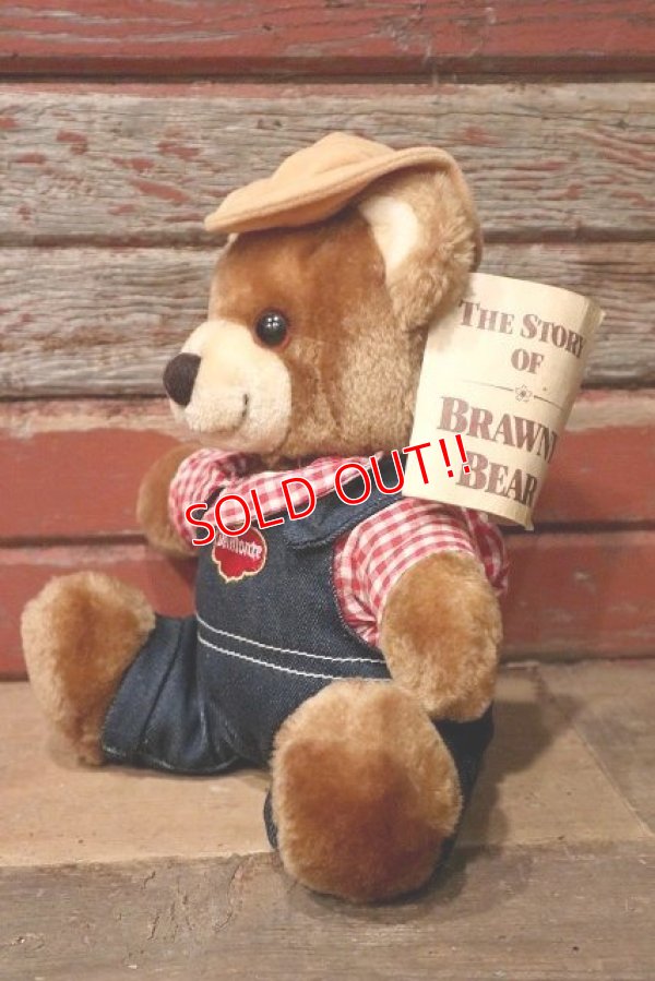 画像3: ct-220801-10 Delmonte / Country Yumkin Brawny Bear 1985 Plush Doll