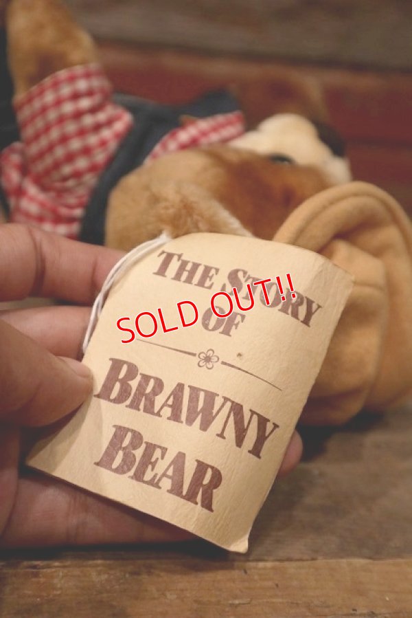 画像5: ct-220801-10 Delmonte / Country Yumkin Brawny Bear 1985 Plush Doll