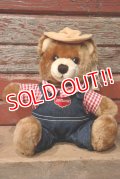 ct-220801-10 Delmonte / Country Yumkin Brawny Bear 1985 Plush Doll