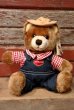 画像1: ct-220801-10 Delmonte / Country Yumkin Brawny Bear 1985 Plush Doll (1)