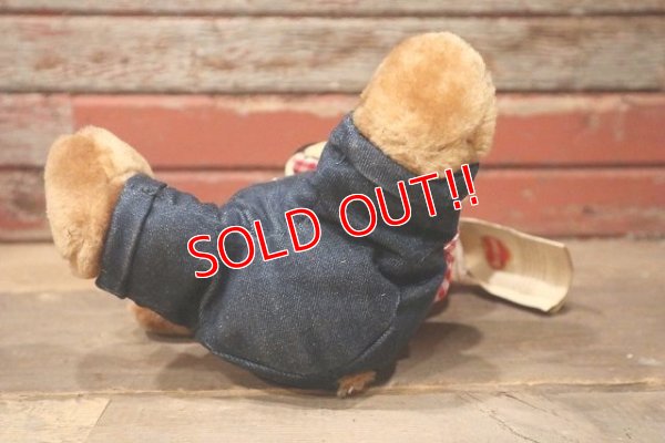 画像7: ct-220801-10 Delmonte / Country Yumkin Brawny Bear 1985 Plush Doll