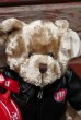 画像2: ct-220601-01 MARS / M&M's 2003 Galerie Teddy Bear Plush Doll (2)