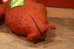 画像6: ct-220801-27 Yogi Bear / 1970's Pillow Doll