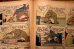 画像6: ct-220401-01 Tom and Jerry / DELL 1952 Comic 