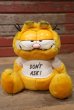 画像1: ct-220901-14 Garfield / DAKIN 1980's Plush Doll "Don't Ask!" (1)