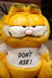 画像2: ct-220901-14 Garfield / DAKIN 1980's Plush Doll "Don't Ask!" (2)