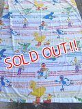 ct-221101-01 SESAME STREET / 1980's Flat Sheet (Twin)