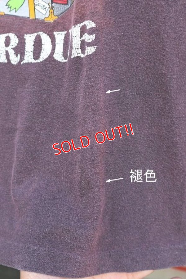 画像9: ct-221101-19 Kermit × PURDUE / 1970's T-Shirt