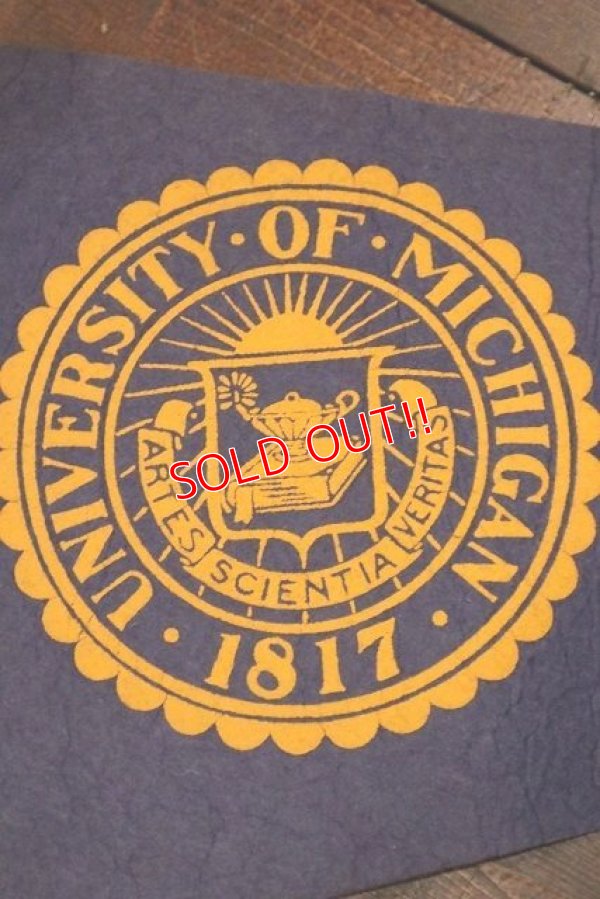 画像2: dp-221101-35 University of Michigan / Vintage Pennant